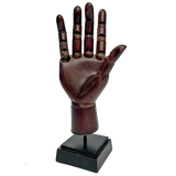 Articulated Hand Model