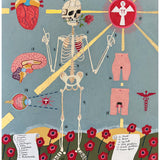 Human Skeleton Diagram