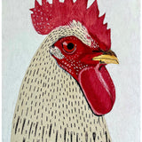 White Rooster