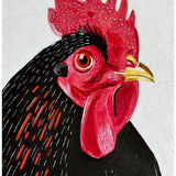 Black Rooster