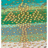 Murmurations