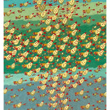Murmurations