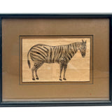 Mughal Zebra Drawing